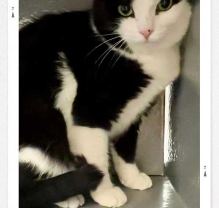 Photo of Tuna / Tia