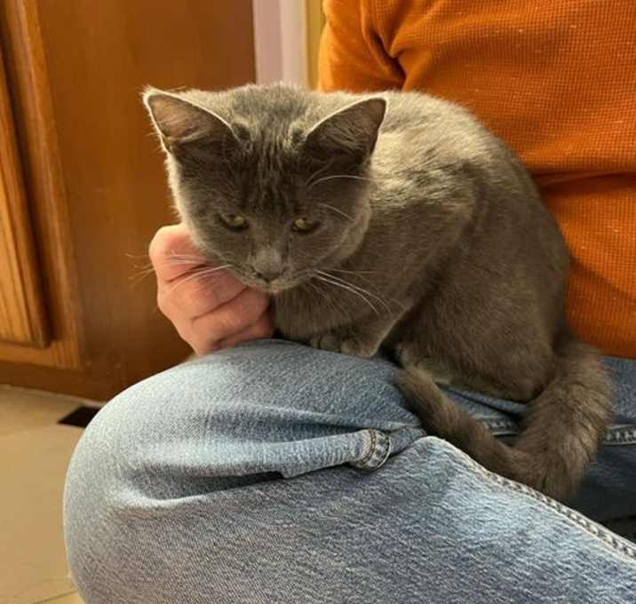 Photo of Daphne (AKA Joy)