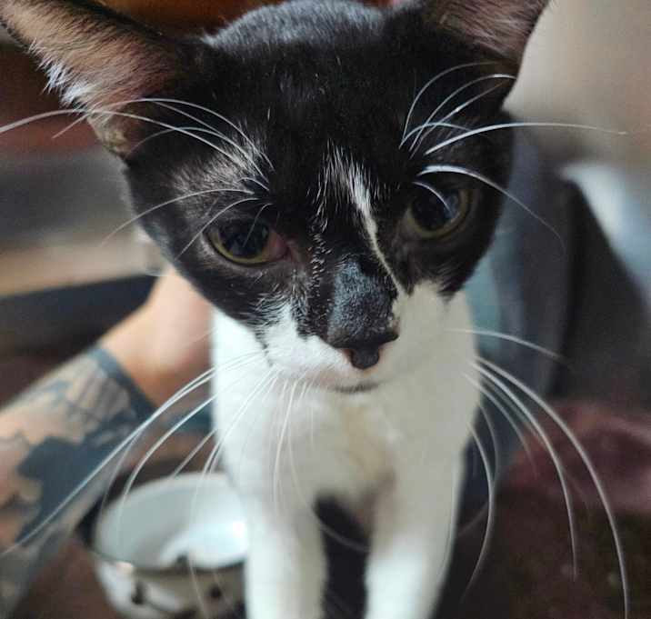 Photo of Perry 
