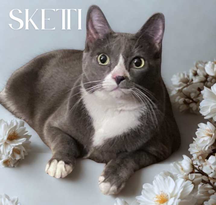 Photo of Sketti