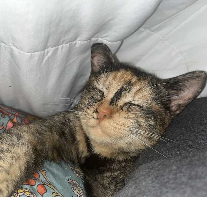 Photo of Feyre Darling