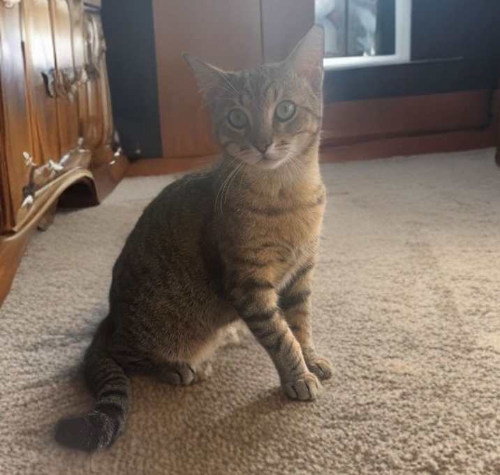 Photo of Dean