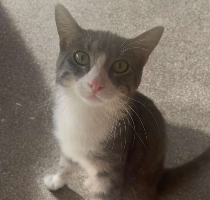 Photo of Jasper