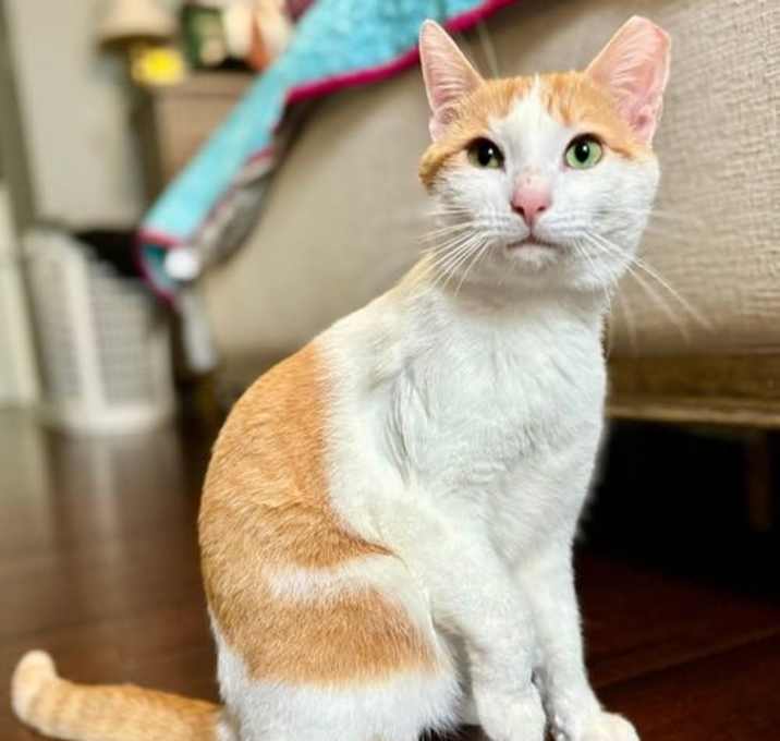 Photo of Tiny