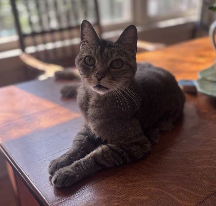 Photo of Lily (Lilz)