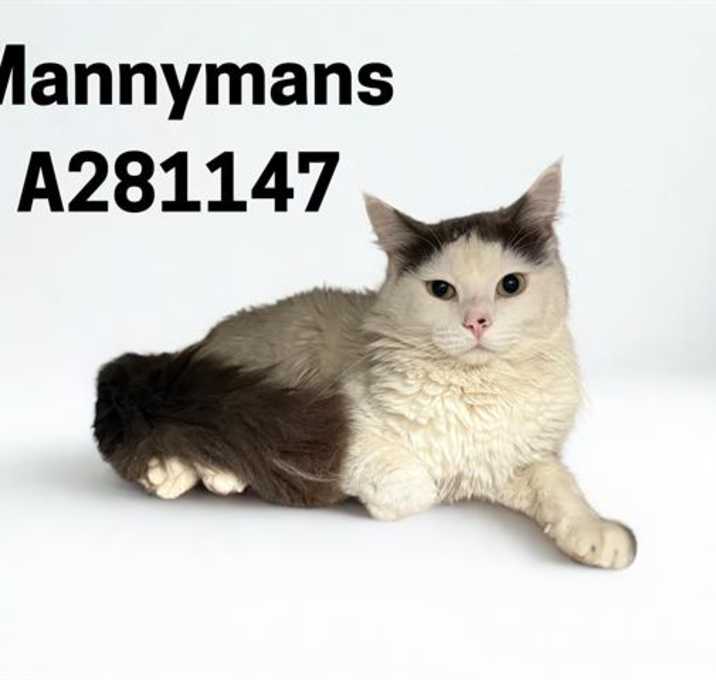 Photo of MANNYMANS