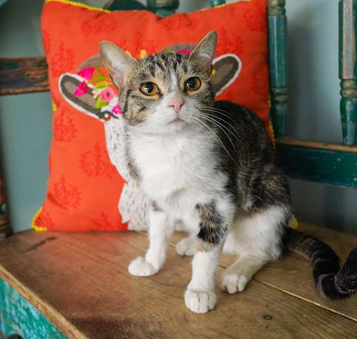 Photo of Misha