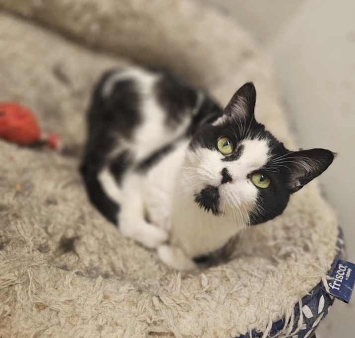 Photo of Angel