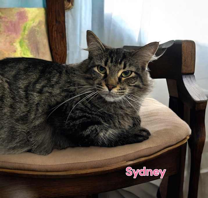 Photo of Sydney