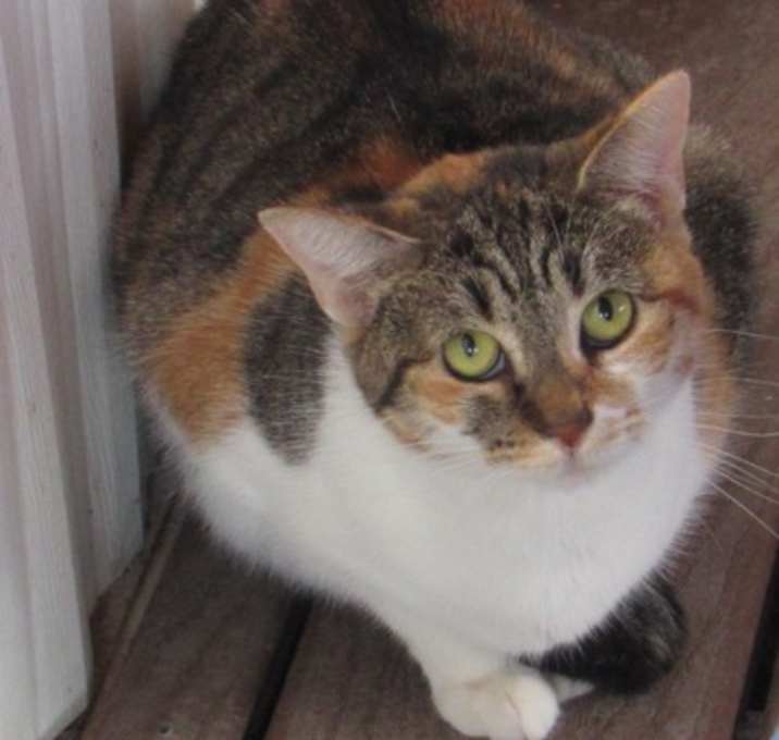 Photo of Julia
