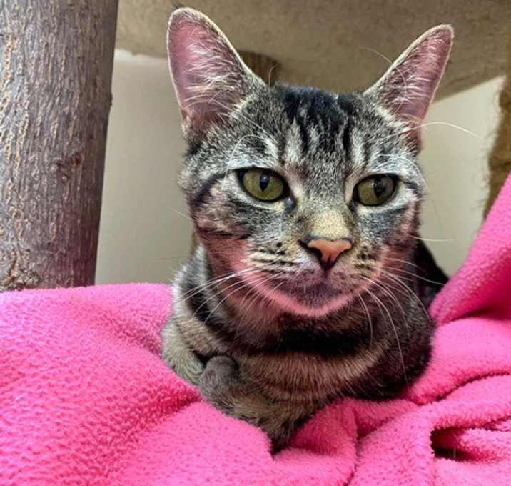 Photo of Linus