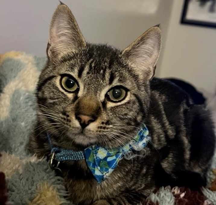 Photo of Simon
