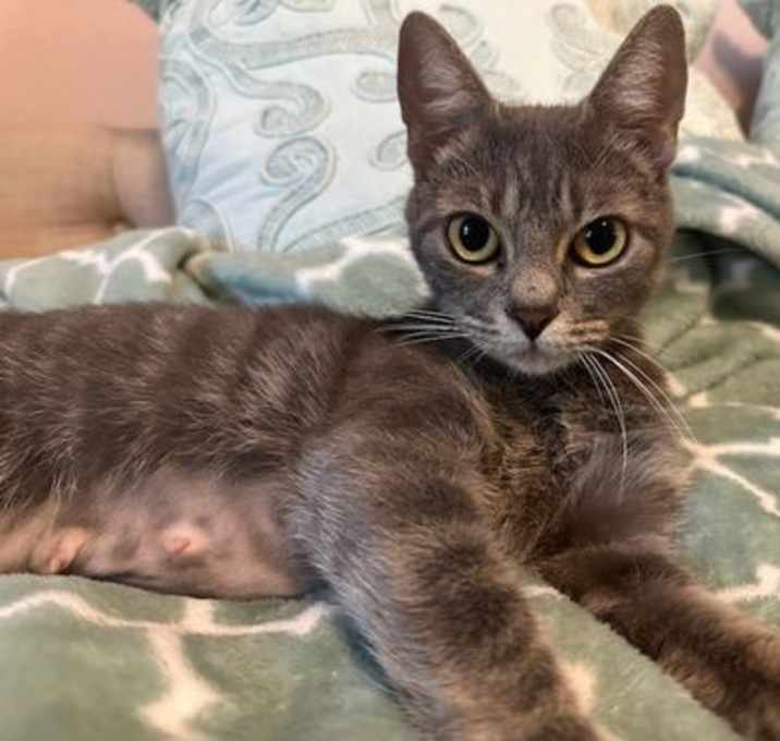 Photo of Phoebe