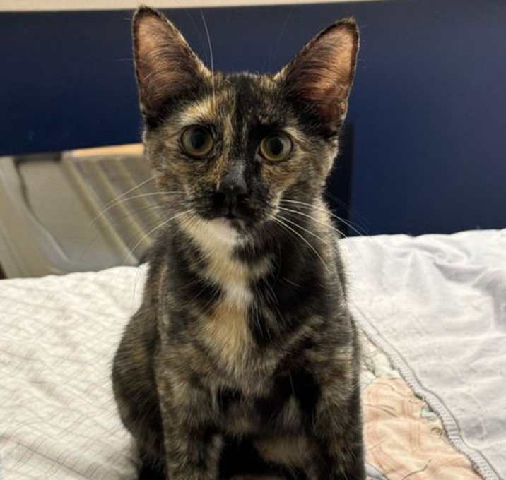 Photo of Wilma