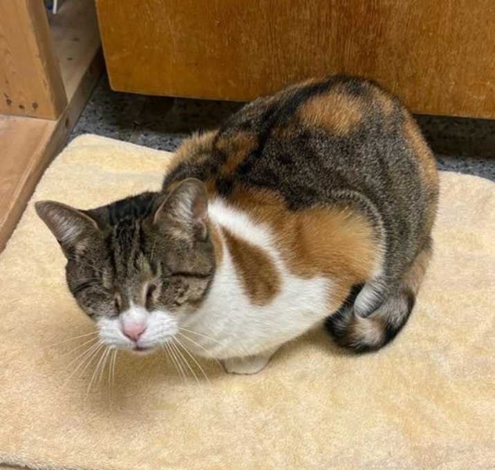 Photo of Francine