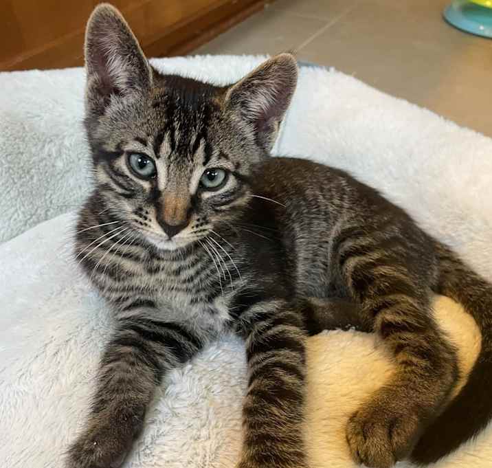 Photo of Rumble