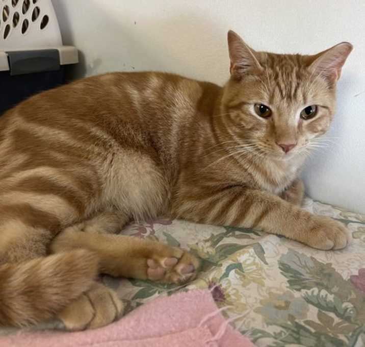 Photo of Victor