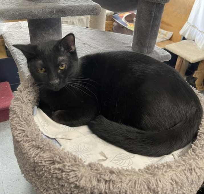 Photo of Fuzzy