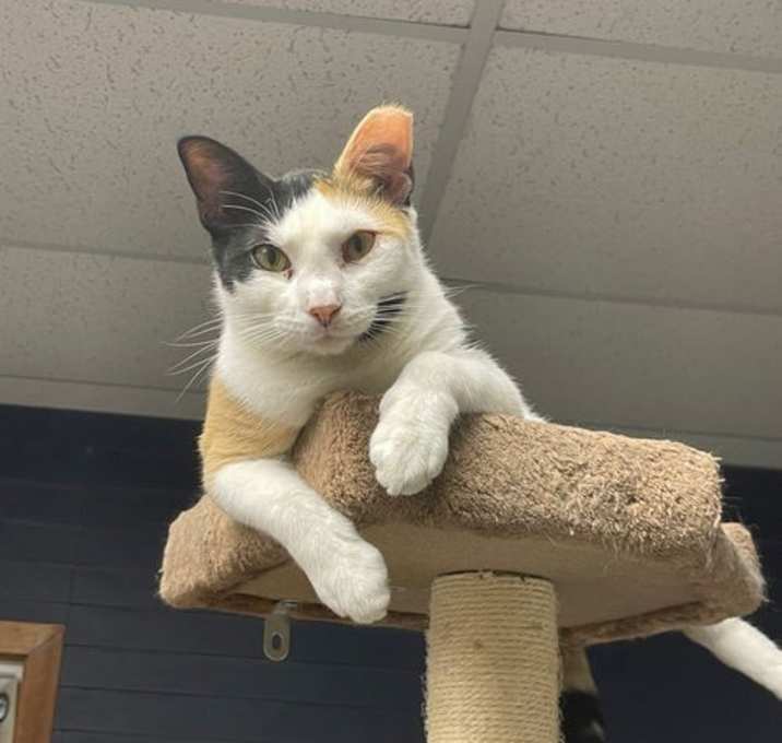 Photo of Thelma