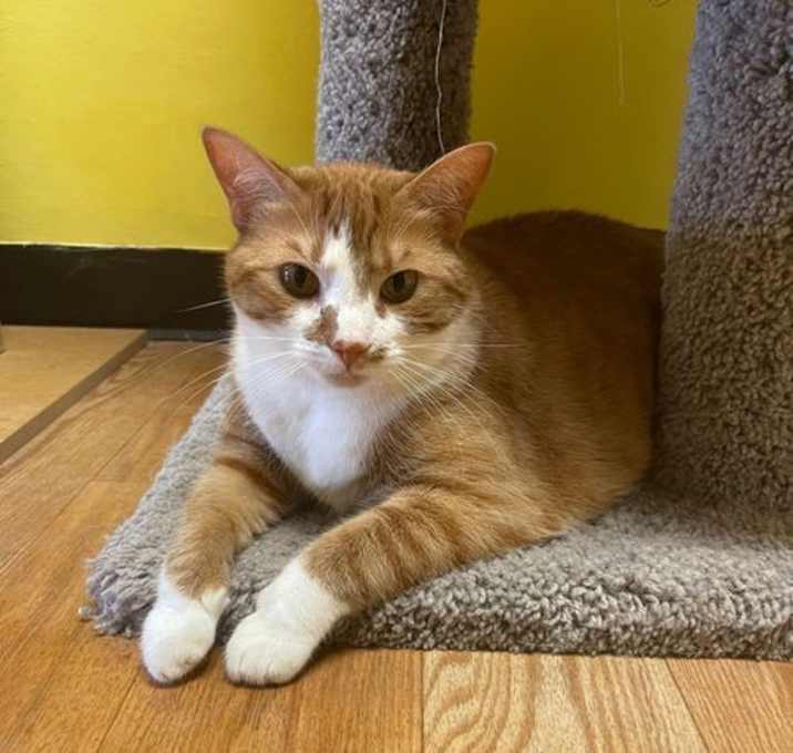 Photo of Abby