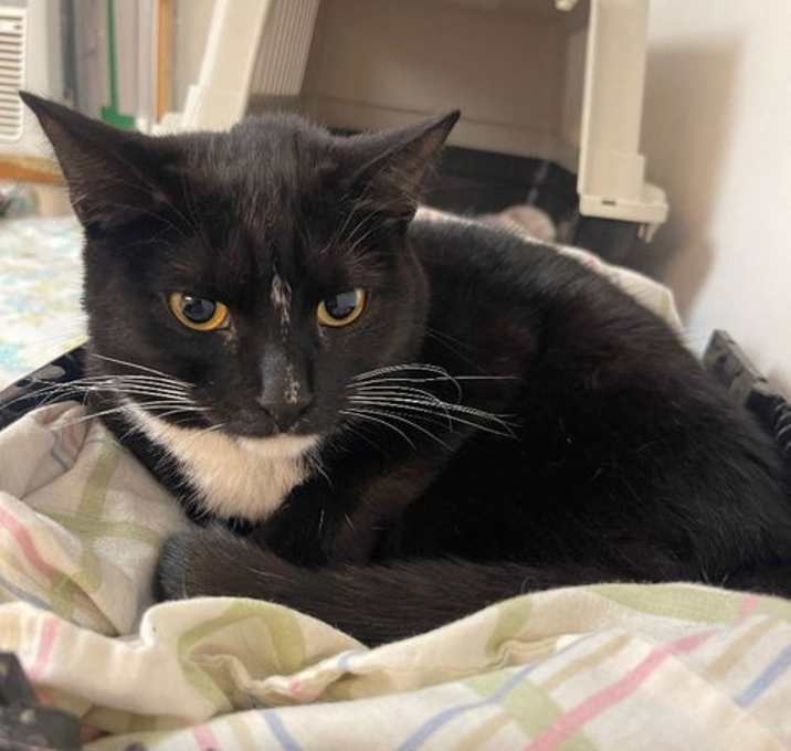 Photo of Tiny