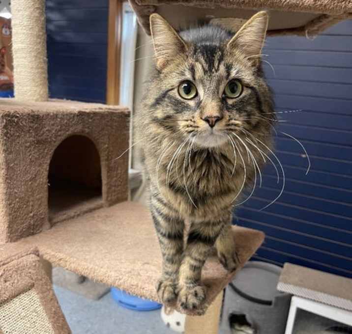 Photo of Oliver