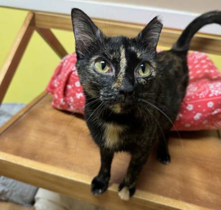 Photo of Ms. Marble
