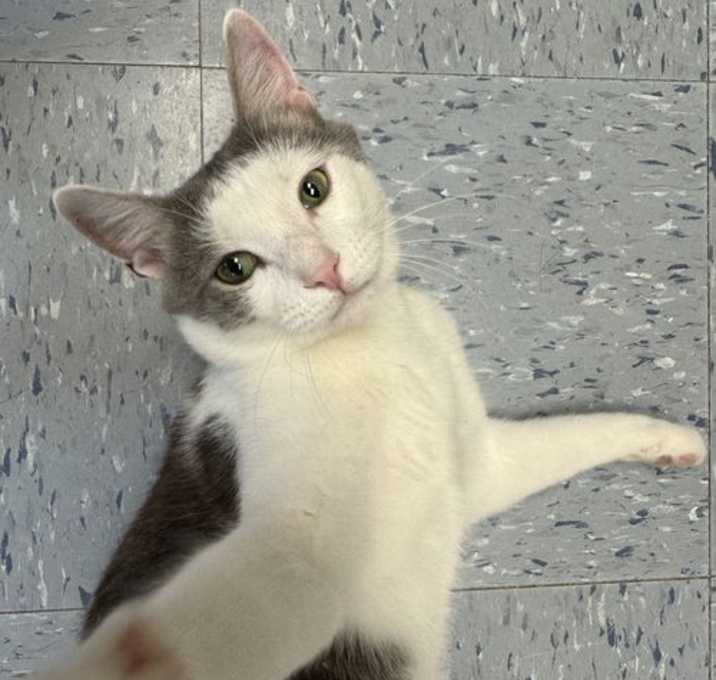 Photo of Baby