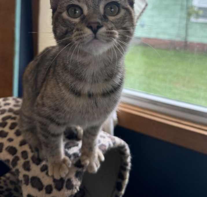 Photo of Jill