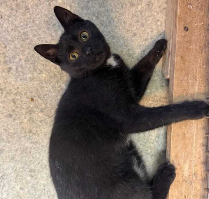 Photo of Mae