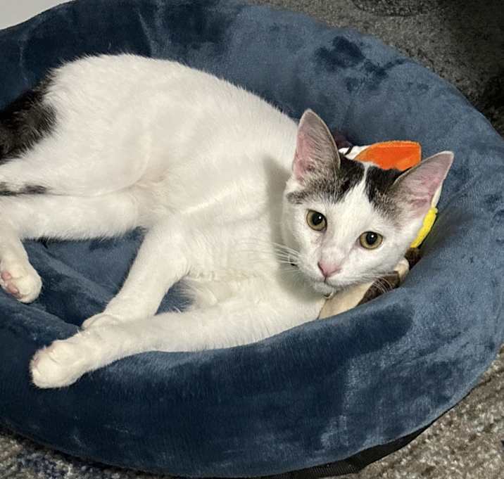 Photo of Jewel