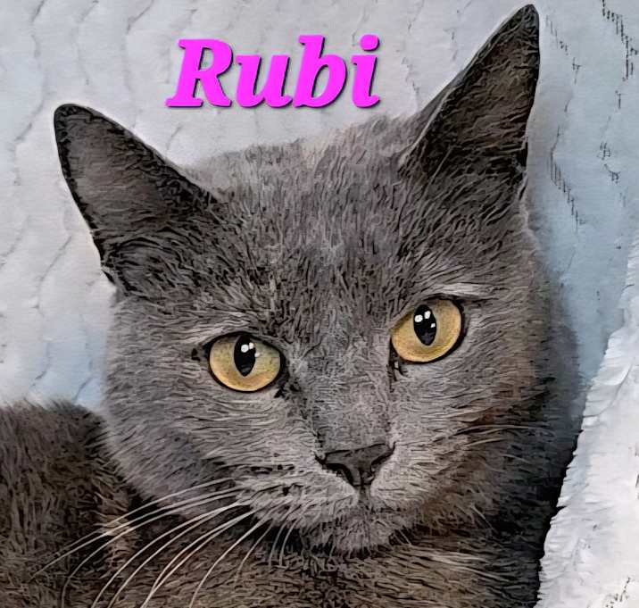 Photo of Rubi