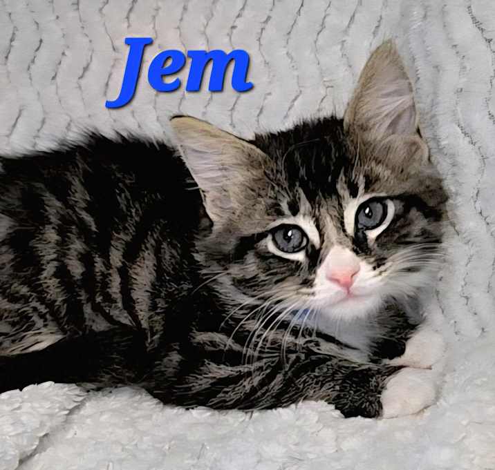 Photo of Jem
