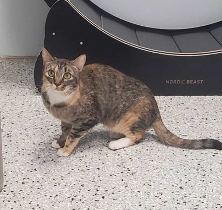 Photo of Luna