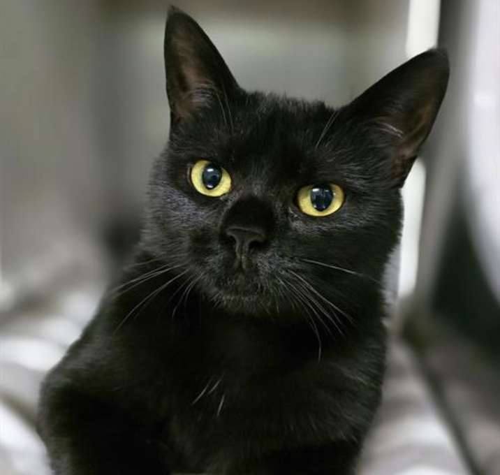 Photo of FANCY