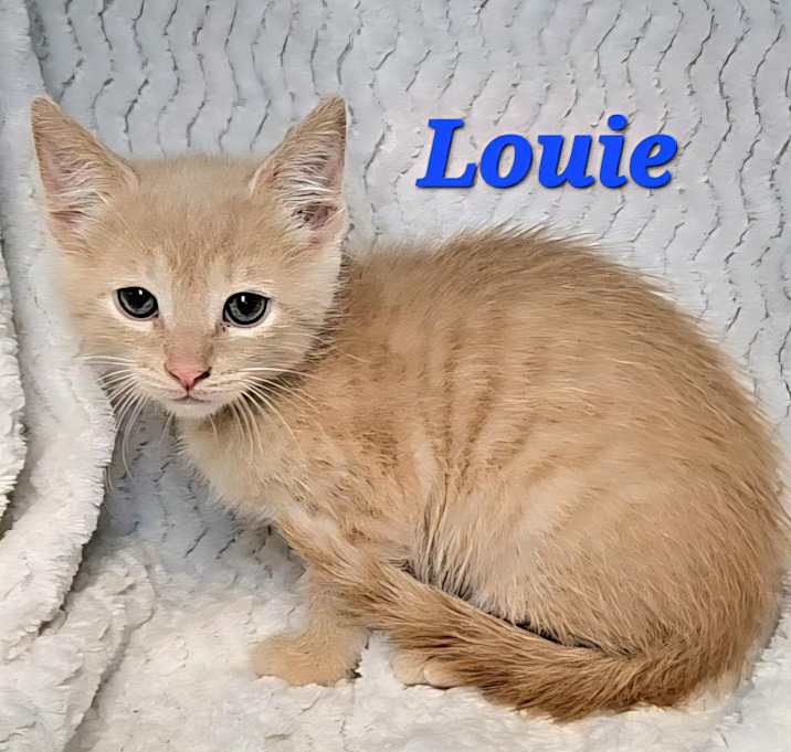 Photo of Louie