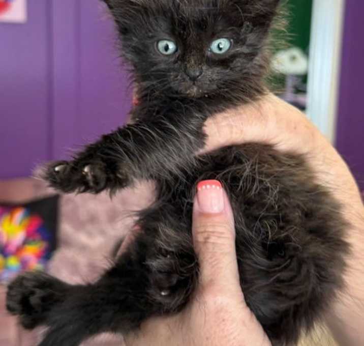 Photo of Hazel
