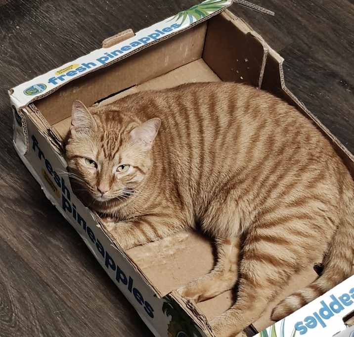 Photo of Mao