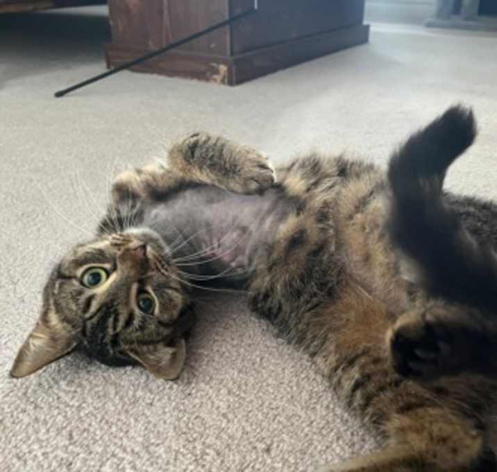 Photo of Daisy May-Stratford