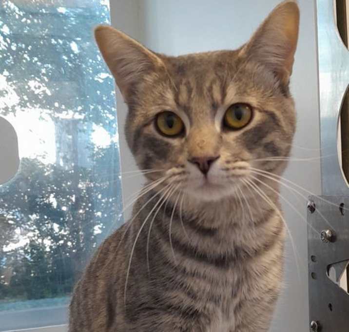 Photo of Bruce