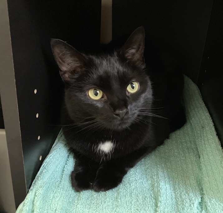 Photo of Luna