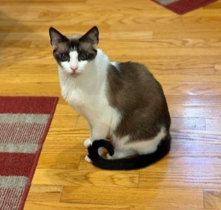 Photo of GARNET