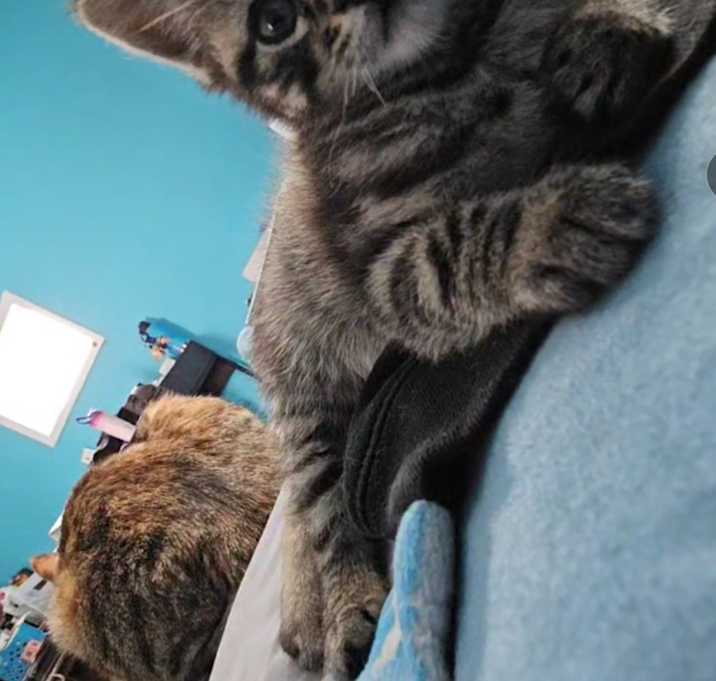 Photo of Eleanor