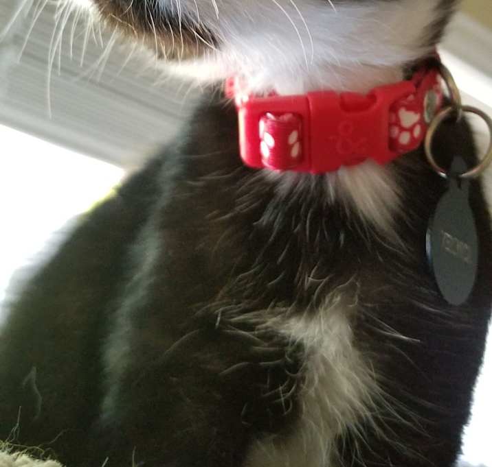 Photo of Veronica