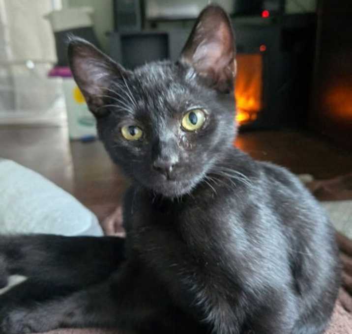 Photo of Walter