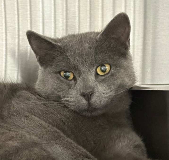 Photo of Polaris