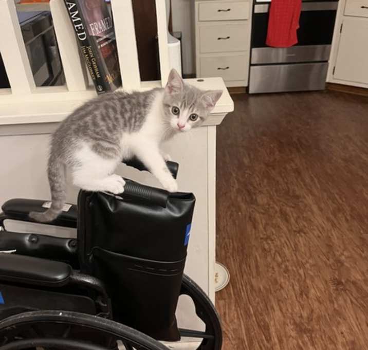 Photo of Tiny Tina