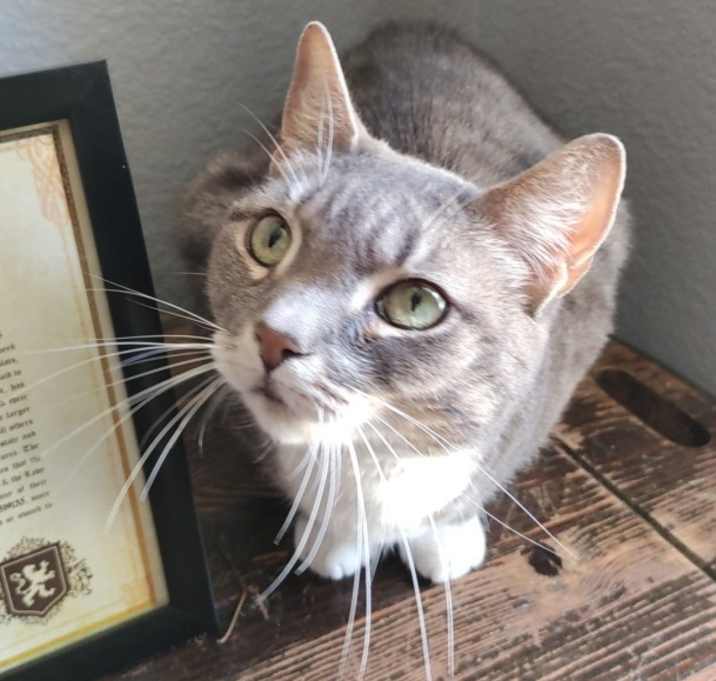 Photo of Pepper