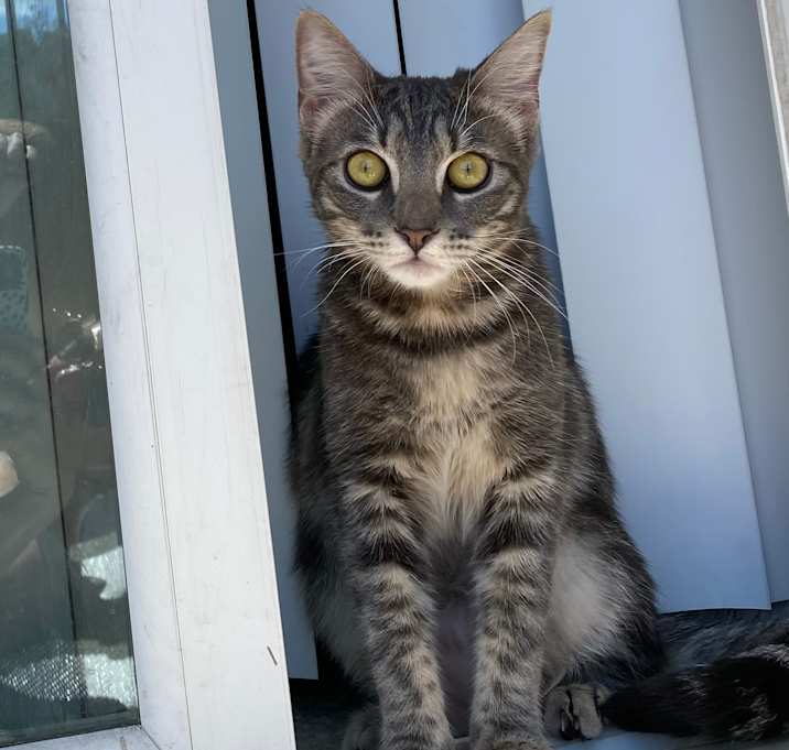 Photo of Nellie