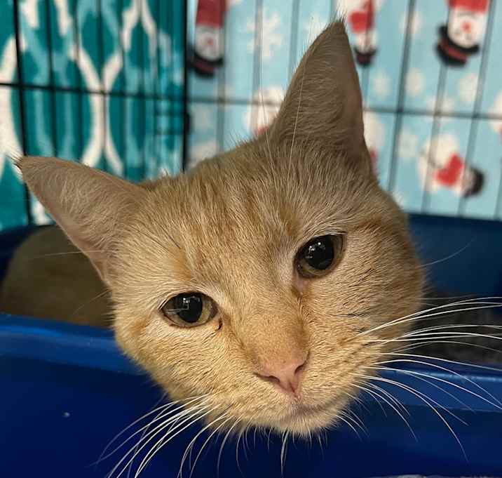 Photo of Sandy